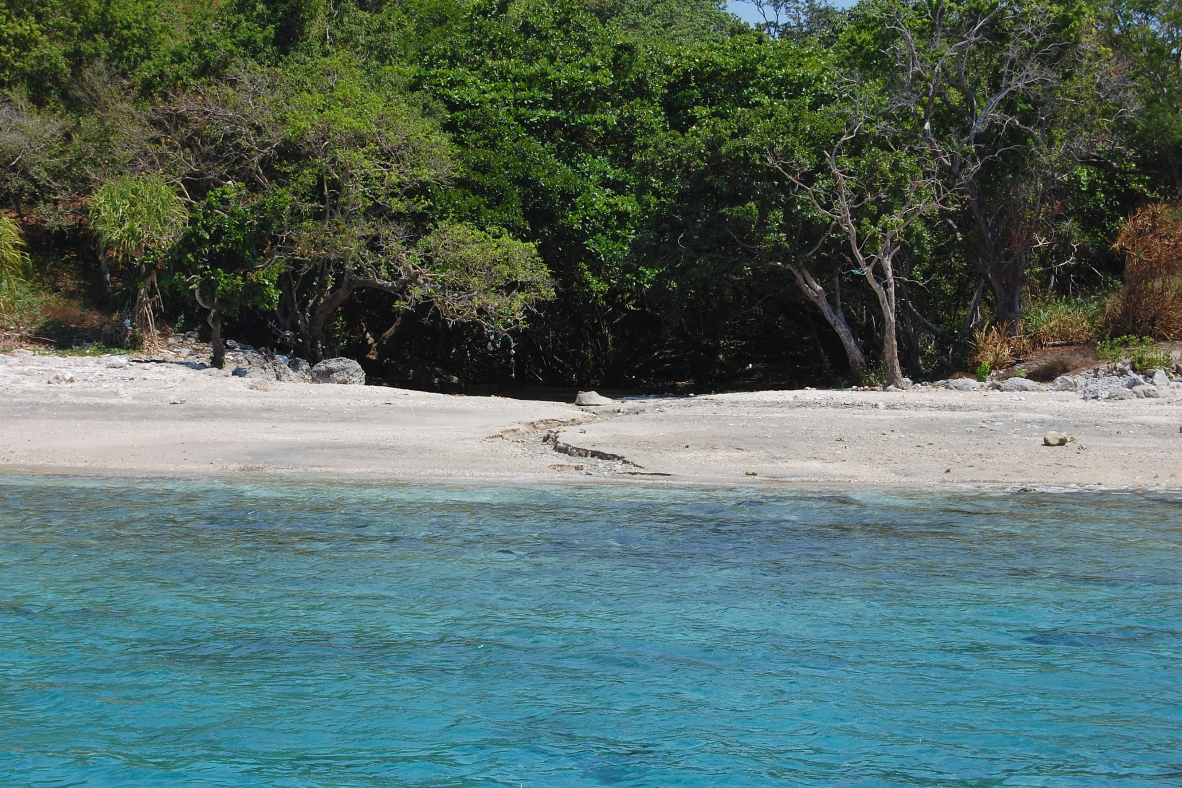 moyo island (4).webp